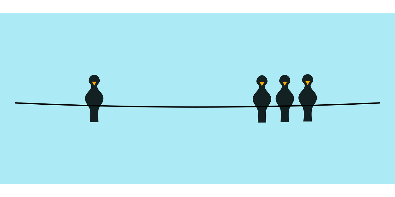 Contrat d’apprentissage ou contrat de professionnalisation : quelles différences ?